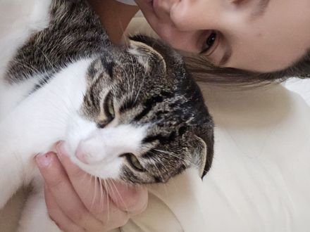 Katzen Geschwister suchen dringend neues Zuhause