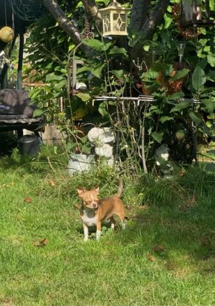 Malvin sucht sein Liebhaberzuhause
