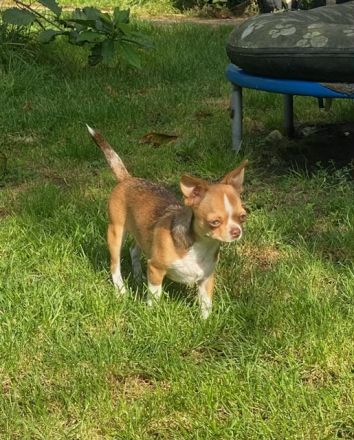 Malvin sucht sein Liebhaberzuhause