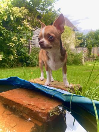 Malvin sucht sein Liebhaberzuhause