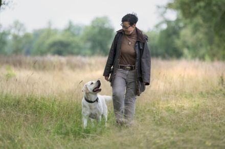 Labradore vom Hauendamm