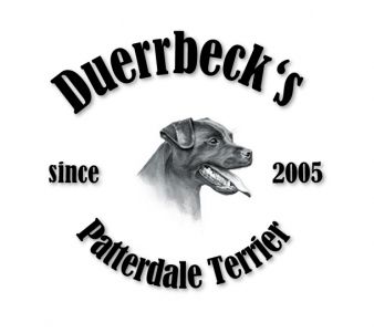 Duerrbeck´s Patterdale Terrier