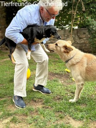 Snow unser Notfellchen