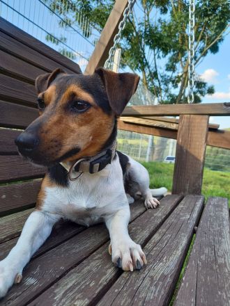 von der Schwertfellnerfarm