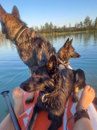 von der Schwertfellnerfarm