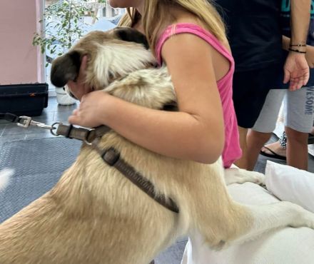 Pedro, geb. ca. 11/2022, lebt in GRIECHENLAND, auf einer privaten Pflegestelle