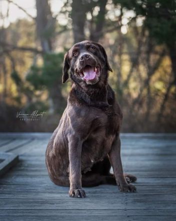 Vom Nienbrügger Winkel