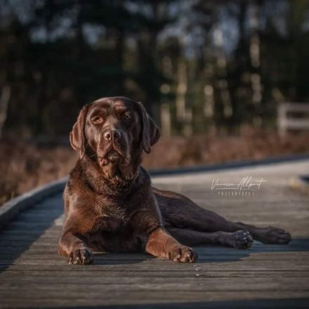 Vom Nienbrügger Winkel