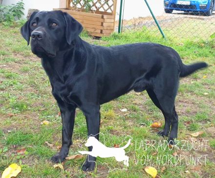 Vom Nienbrügger Winkel