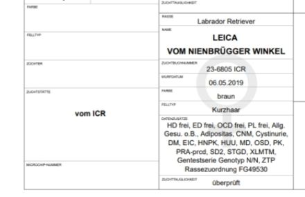 Vom Nienbrügger Winkel