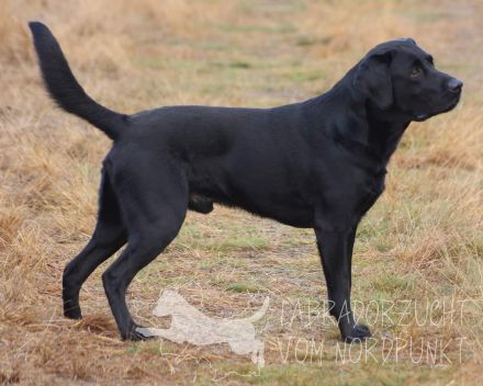 Vom Nienbrügger Winkel