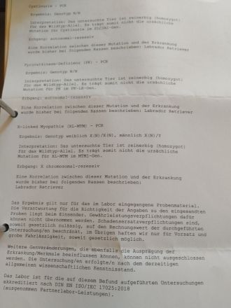 Vom Nienbrügger Winkel