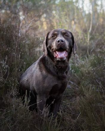 Vom Nienbrügger Winkel