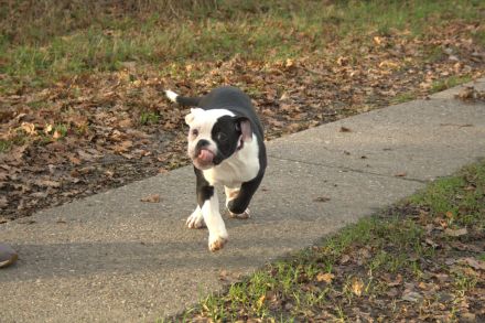 Family Sweetheart´s