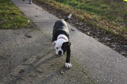 Family Sweetheart´s