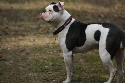 Family Sweetheart´s