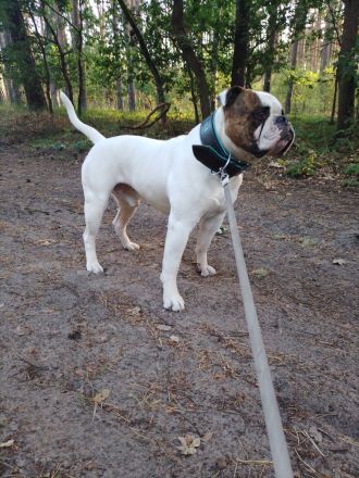 Family Sweetheart´s