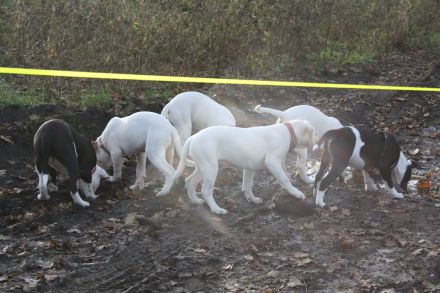 Family Sweetheart´s