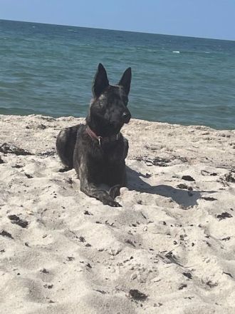 Fra‘ Domi Draumana