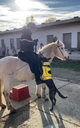 Fra‘ Domi Draumana