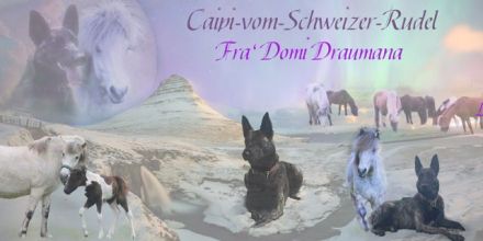 Fra‘ Domi Draumana