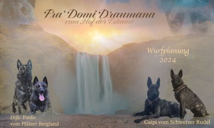 Fra‘ Domi Draumana