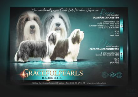 Wir freuen uns, dass alle Welpen ein tolles Zuhause gefunden haben........