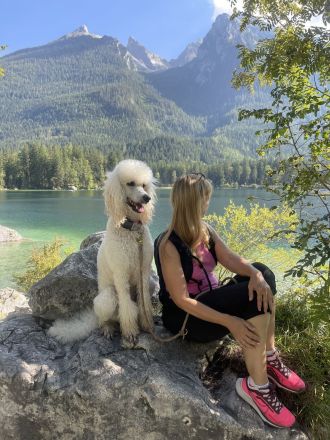 from Bella‘s Kingdom