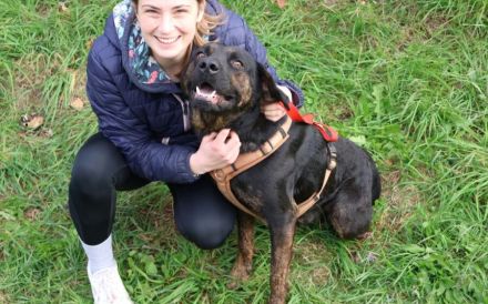 Der liebenswerte Vino sucht aktive Menschen