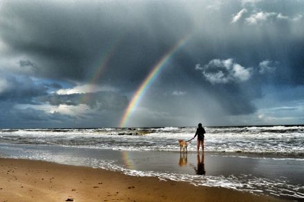 Gemeinsam Koffer packen für die Reise über den Regenbogen - Abschied vom geliebten Tier