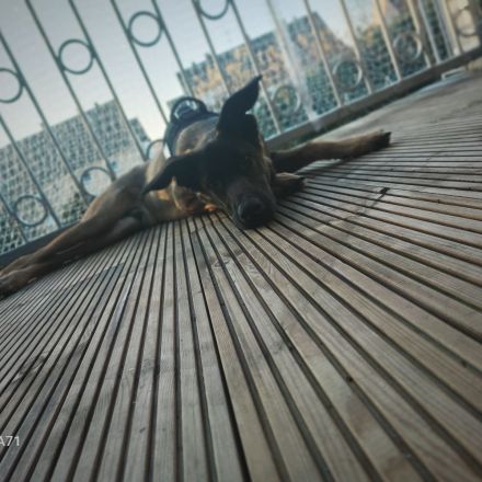 Ich bin der tayson 10 Monate alt