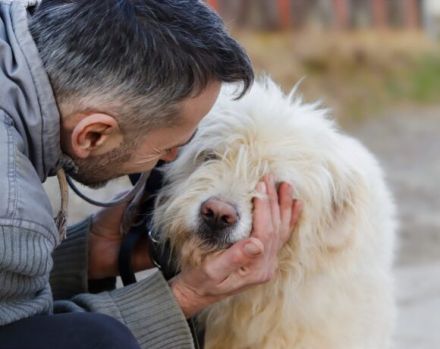 Lumi sucht seinen besten Freund!