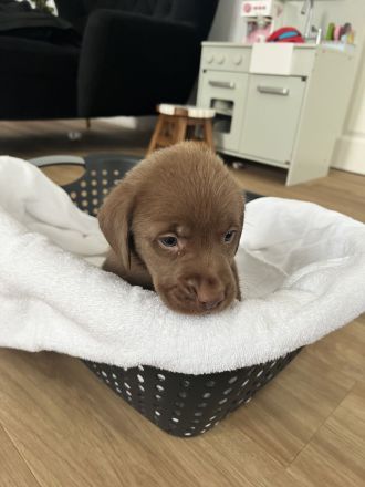 Wir dürfen ausziehen