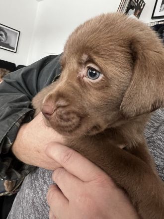 Wir dürfen ausziehen