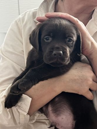 Wir dürfen ausziehen