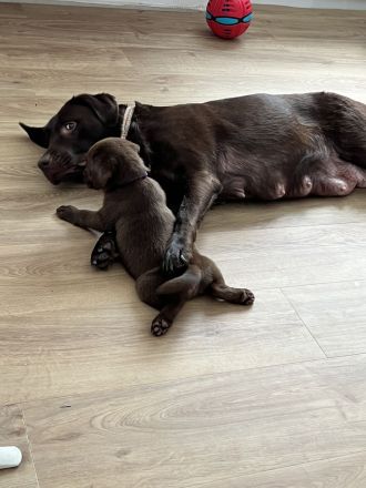 Wir dürfen ausziehen