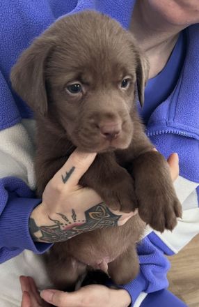 Wir dürfen ausziehen