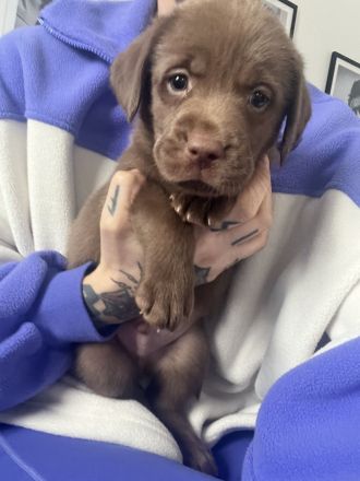 Wir dürfen ausziehen