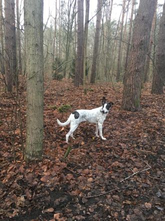 Langzeit Wohnort gesucht nicht in der Stadt....kein Verkauf