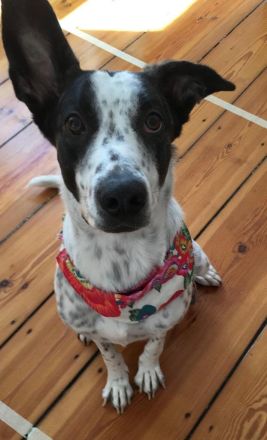 Langzeit Wohnort gesucht nicht in der Stadt....kein Verkauf