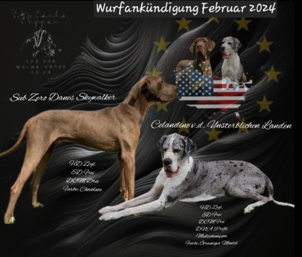 Wurfankündigung Februar 2024