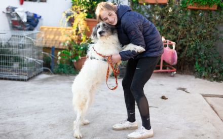 Süße Charly bereits über 2 Jahre. Sie sucht eine eigene Familie!