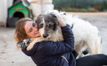 Süße Charly bereits über 2 Jahre. Sie sucht eine eigene Familie!