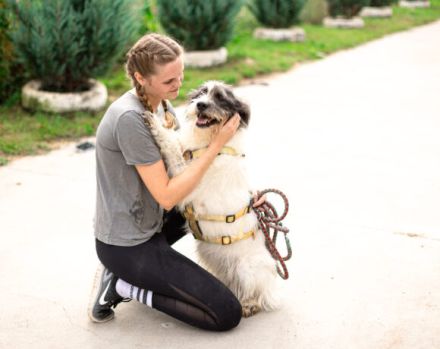 Süße Charly bereits über 2 Jahre. Sie sucht eine eigene Familie!