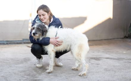 Süße Charly bereits über 2 Jahre. Sie sucht eine eigene Familie!
