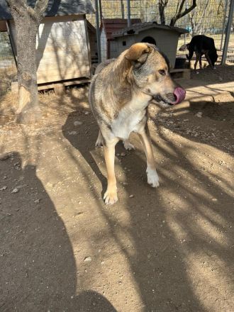 Zaghafte Cassy braucht Sicherheit