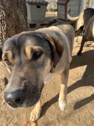 Zaghafte Cassy braucht Sicherheit