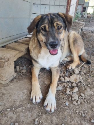 Zaghafte Cassy braucht Sicherheit