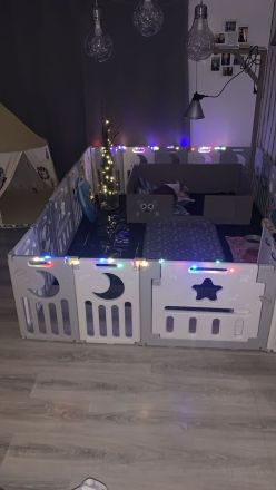 2 Alternativ Bulldoggen Hündinnen