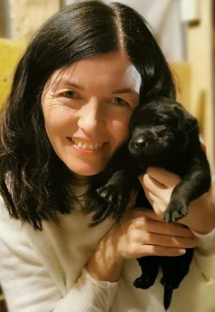 Süße Labradorwelpen